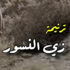 ترنيمة زي النسور