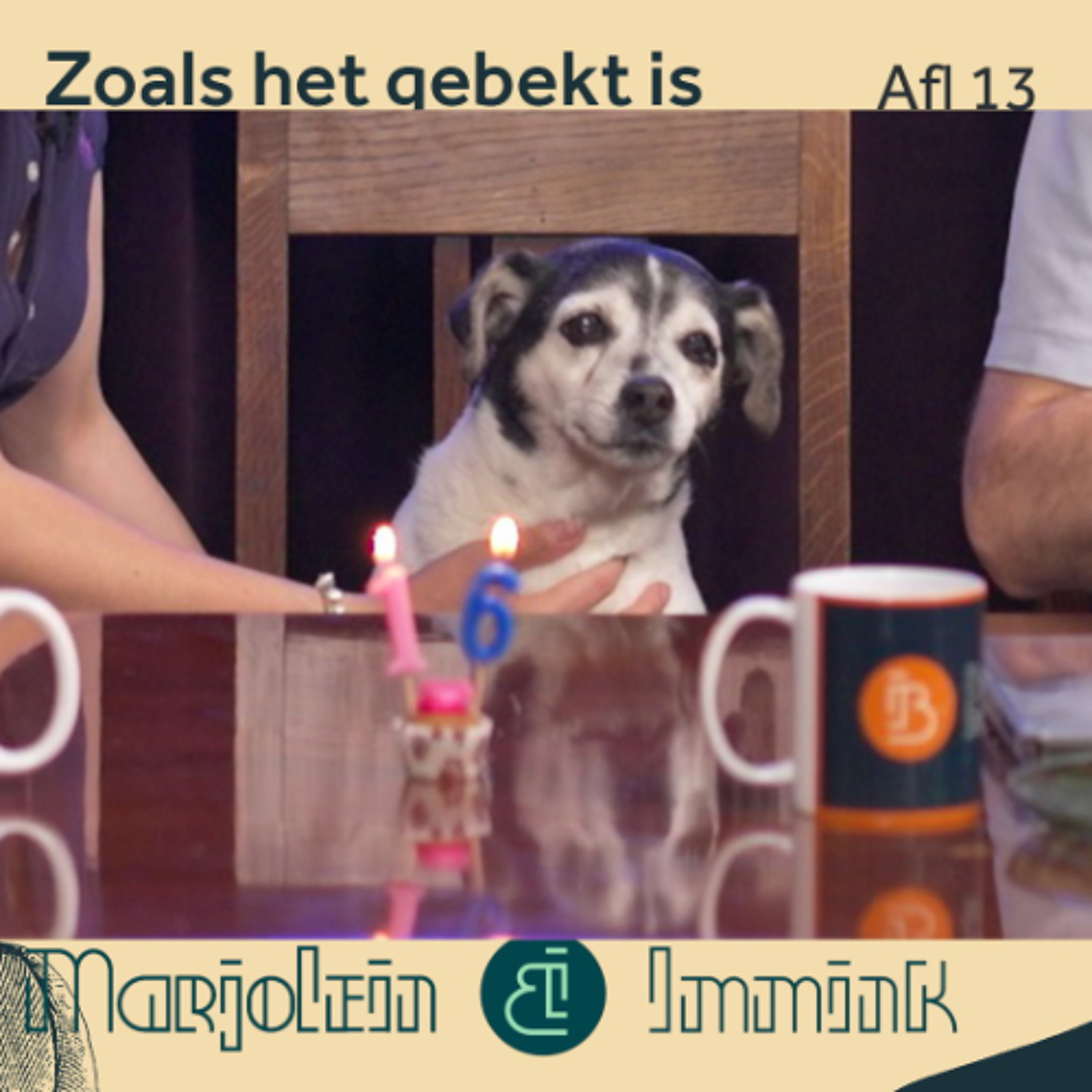 De hond is jarig