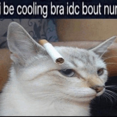 dontfwme