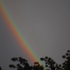 BRainLoad HYBRID GUITAR