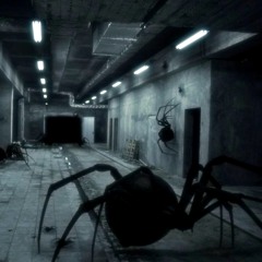 run