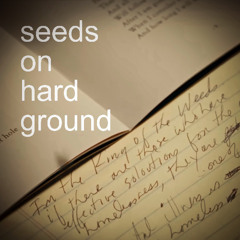 seeds on hard ground