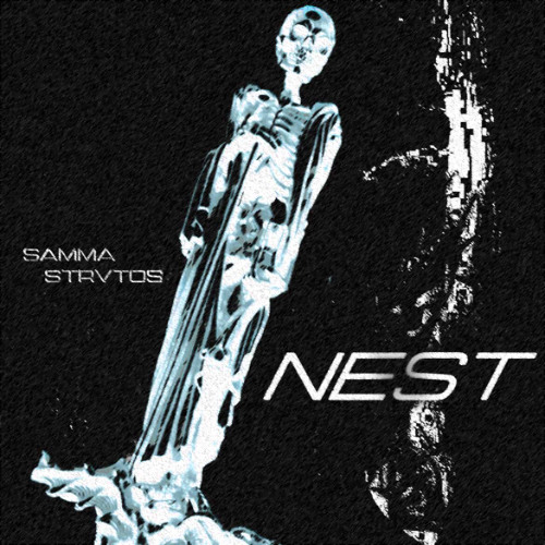 Nest w/ STRVTOS