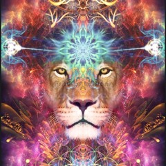 TranceFusion