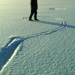 Artic Cat