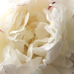 Andningsmeditation - Vi är alla blommor