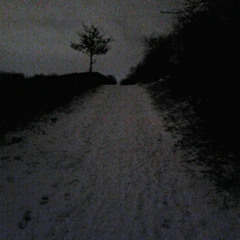 They wanted to help, but I couldn't.