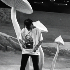 Travis Scott - Too much power (feat. Westside Gunn)