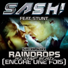 Raindrops (Encore Une Fois) [Mashup Remix]