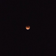 kymanixo-run around (snippet)