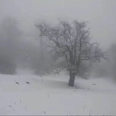 jumpstylez - Winterstylerz X Instasamka (slowed)