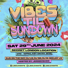 VIBES TILL SUNDOWN FT DJ M & DJ LB Live Audio Set 🤝🏾