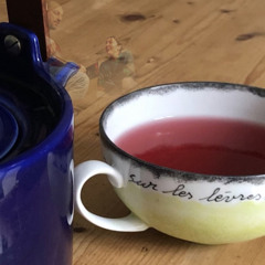 Don’t think twice, it’s alright (Bob Dylan with Dad)