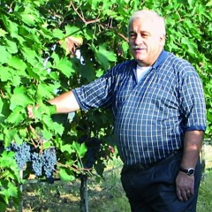 Attilio Scienza