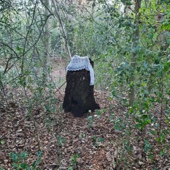 LHF - New Blood 1 (recorded live on Sub Fm 2025)