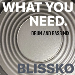 WHAT YOU NEED - Drum And Bass Mix