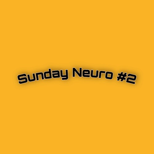 SUNDAY NEURO #2