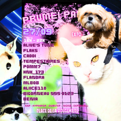 PRUMEI PARTY SET (27/09/25)