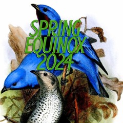 Spring Equinox 2024