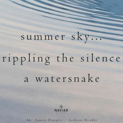 Summer Sky/ Watersnake (naviarhaiku507)