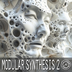 Cycles & Spots - Modular Synthesis 2