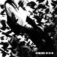 no crows. (feat. Wok Lauront)