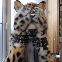 Birth of Swag (Intro) [Opi17]