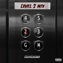 Level 2 Mix