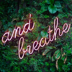 Breath Meditation