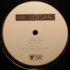 LSKR001 - HALUCIGANI - B2 Dža Te Sovel