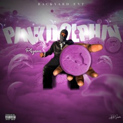 Pink Dolphins (MixedBy Valid)