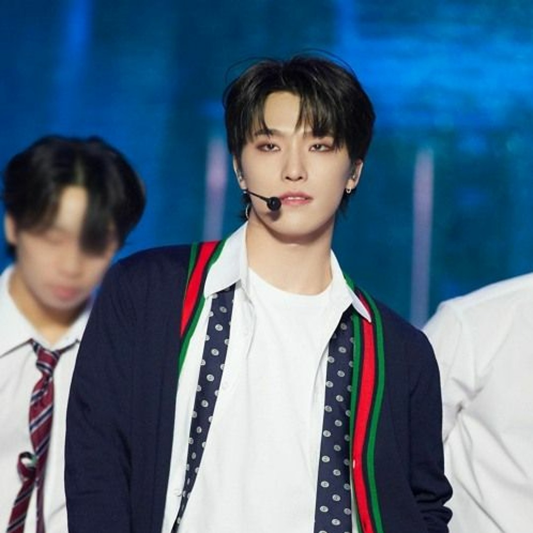 SEVENTEEN ディノ power of love うちわ プレフォト SEVENTEEN