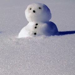 SchneemannesFlucht (CircuitTracksSession)