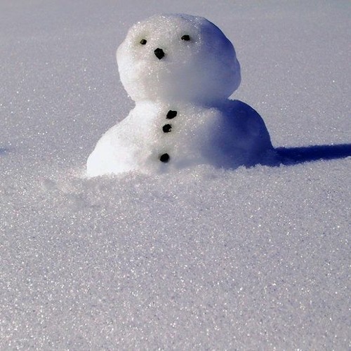 SchneemannesFlucht (CircuitTracksSession)