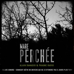 Mare Perchée (Alain Damasio / Floriane Pochon)
