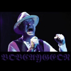 bobcaygeon (chopped & slopped)