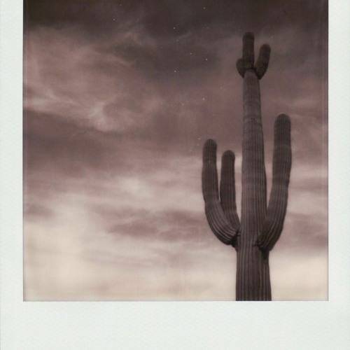 Lofi Tape [Prod By Flowrain]