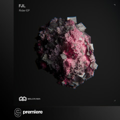 Premiere: FJL - Massive Drift - Melorama Música