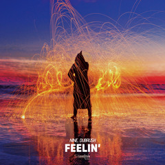 NINE & Dubrush - Feelin'