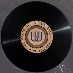 Renegade Master (You Are You Remix) - Wildchild