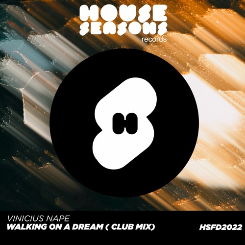 Walking On A Dream (Vinicius Nape Remix)