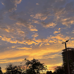 shelike/2much       \Ogx$M/