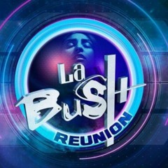 Tomcraft Vs Systematic Part - Loneliness de la nuit (Dj Gaetan K La Bush Reunion Aftermovie Rework)