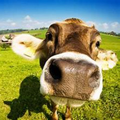 Anh LÀm Gì Sai Remix by Thanh Huyy