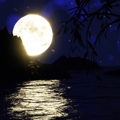 The Moon Reflected on the Second Spring