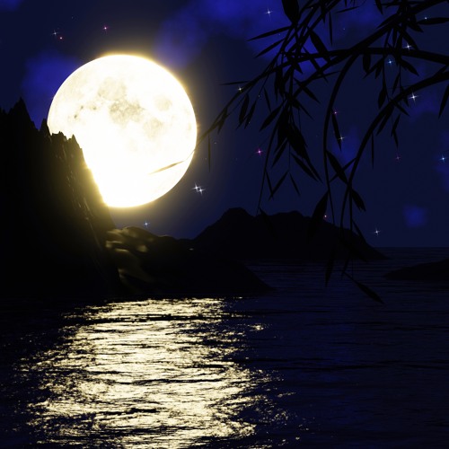 The Moon Reflected on the Second Spring