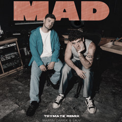 Martin Garrix & LAUV - MAD (TOYMATZ REMIX) Free Download