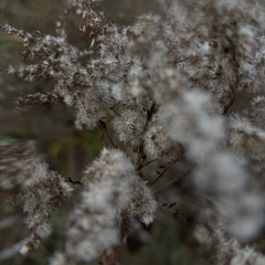 TCTRN EP03 on Etikett Radio