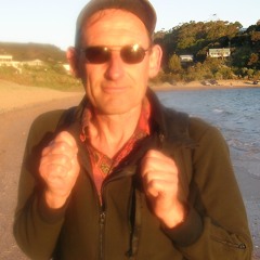 Roy's Tune (Fontaines D.C.)