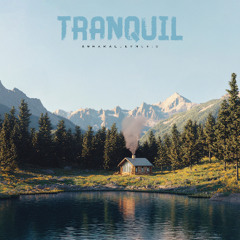 Tranquil - Relaxing and Inspiring Acoustic Guitar Music (Free Download MP3)